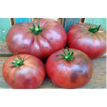 Редкие сорта томатов Розелла